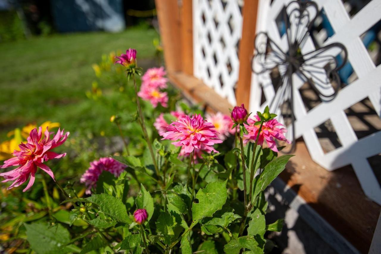 The Mint Cottage With Garden Anchorage Exterior foto